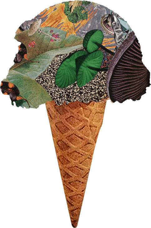 Ice Cream Cone